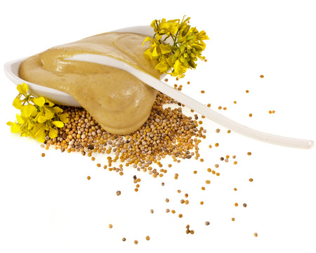 Mustard dish sauce , seeds and mustard flower isolated on white backgroundの写真素材