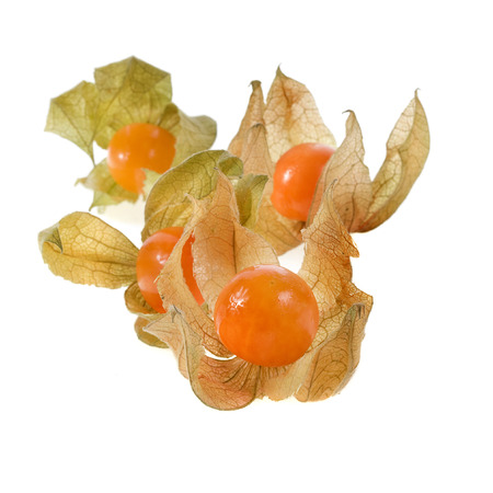Physalis fruit close up macro shot on white backgroundの写真素材