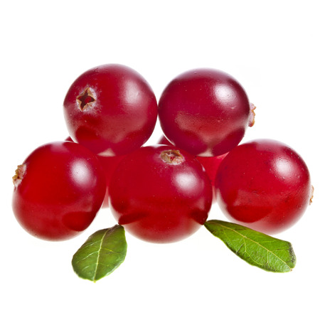cranberry isolatedの写真素材