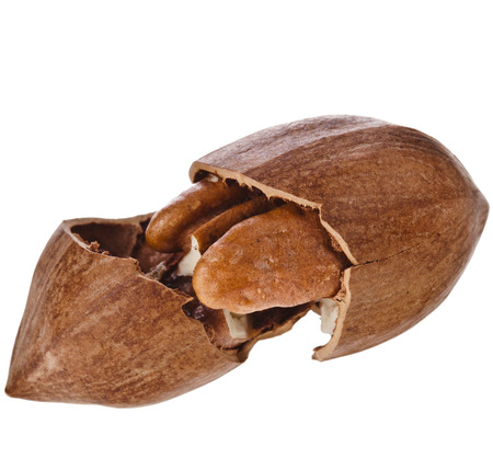 Pecan nuts close up, isolated on white backgroundの写真素材