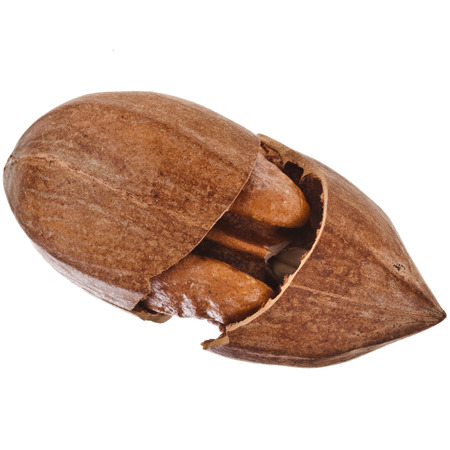One Pecan nut close up, isolated on white backgroundの写真素材