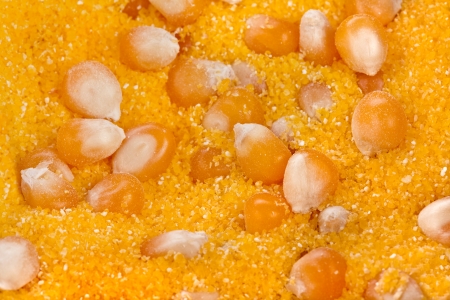 heap of cornmeal maize flour surface top view close up texture の写真素材