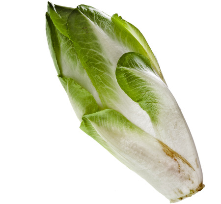 head of belgian endive chicory isolated on a white backgroundの写真素材