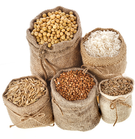Corn kernel seed meal and grains in bags isolated on a white backgroundの写真素材