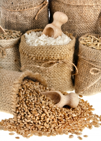 Corn kernel seed meal and grains in bags isolated on a white backgroundの写真素材