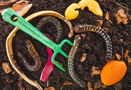 kitchen scraps in compost soil pile surface top view close up