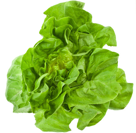 Bunch of Fresh Green Salad Isolated On White Backgroundの写真素材