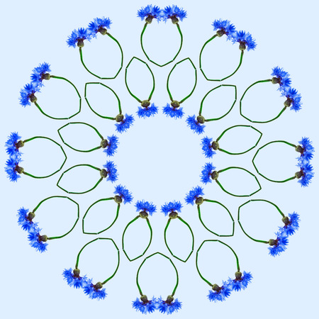 Border Frame Floral Abstract Pattern of Cornflower on blue backgroundの写真素材