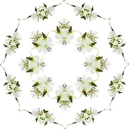 Abstract Floral Pattern isolated on white background with copy spaceの写真素材