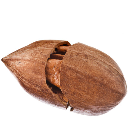 One Pecan nut close up, isolated on white backgroundの写真素材