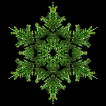 Snowflake of natural fir branch isolated on black background