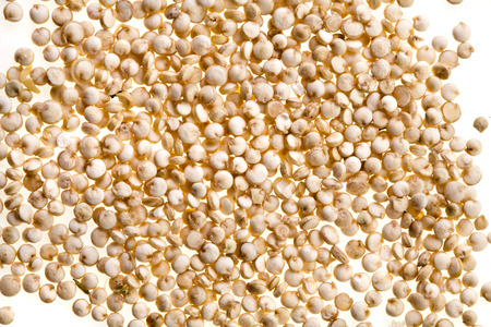 quinoa seed grain close up macro shot isolated on a white backgroundの写真素材