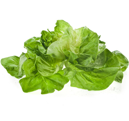 Lettuce Salad Isolated On White Backgroundの写真素材