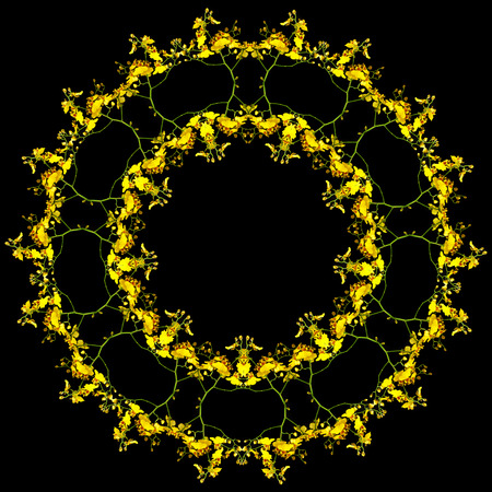 Border frame of Bright Yellow Oncidium Orchid plant isolated on black backgroundの写真素材