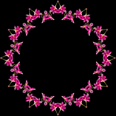 Border Frame Pattern of Bright Orchid plant isolated on black backgroundの写真素材