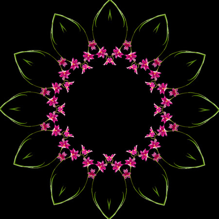 Frame Pattern of Bright Orchid plant isolated on black backgroundの写真素材