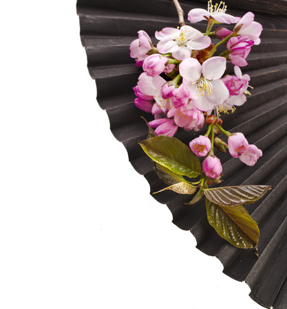Corner border of Old Black Decorative Japanese Paper Fan with Fresh Flower Sakura Isolatedの写真素材