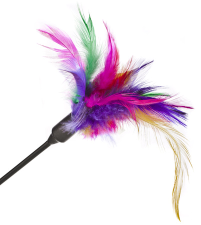 Colored feather toy for cats on a white backgroundの写真素材