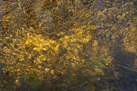    rippled texture water of river                            の写真素材