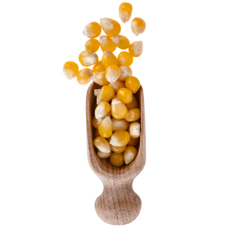 corn meal maize heap in wooden scoop isolated on white backgroundの写真素材