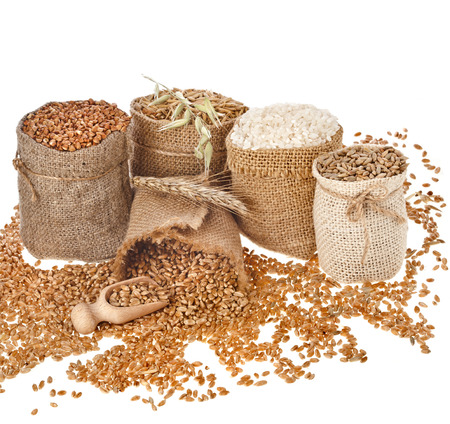 Collection set of seed meal and grains in bags isolated on a white backgroundの写真素材