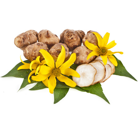 Jerusalem artichoke with flower and leaves stem isolated on a white backgroundの写真素材