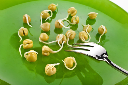 Pea seeds with sprouts with fork on a green plateの写真素材