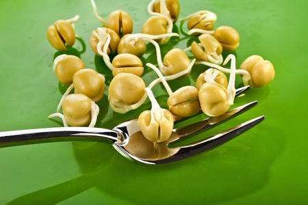Pea seeds with sprouts with fork on a green plateの写真素材