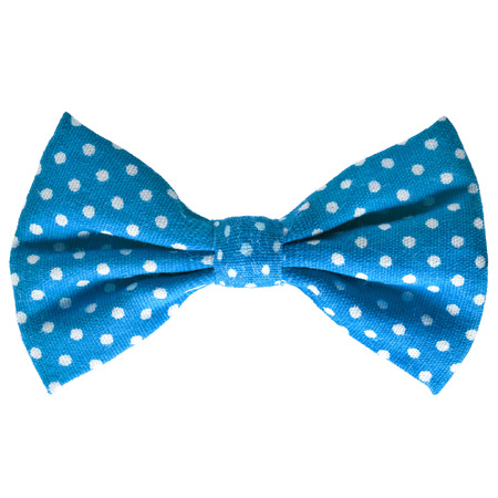 Blue bow close up on white isolated on white backgroundの写真素材