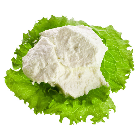 Ricotta Cheese with lettuce leaves isolated on white backgroundの写真素材