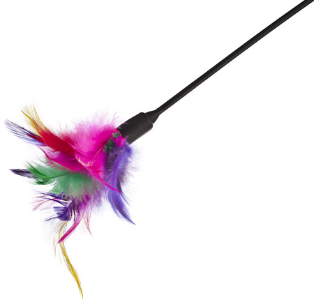 Multicolored feathered pole cat toy on a white backgroundの写真素材