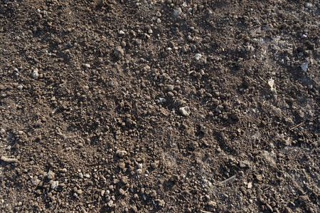 Close up of organic soil surface backgroundの写真素材