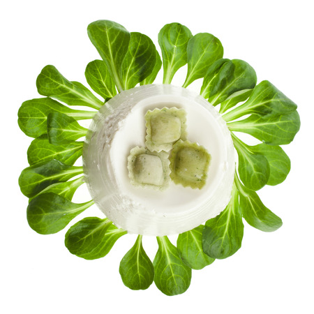 Ricotta Cheese with spinach top view surface isolated on white backgroundの写真素材
