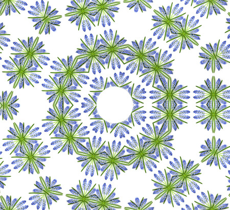 Abstract Floral Pattern of Blue Spring flowers Muscari isolated on white backgroundの写真素材