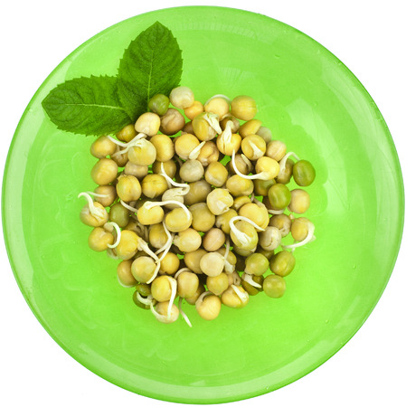 Pea seeds with sprouts with fork on a green plate isolated on a white backgroundの写真素材