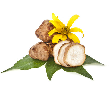 Jerusalem artichoke with flower and leaves stem isolated on a white backgroundの写真素材
