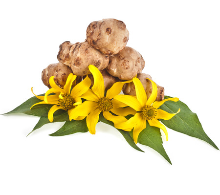 Jerusalem artichoke with flower and leaves stem isolated on a white backgroundの写真素材