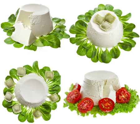 Collection set of Ricotta Cheese with spinach top view surface isolated on white backgroundの写真素材