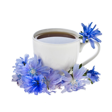 Diet drink chicory in a cup - Coffee substitutes with Cichorium intybus flowerの写真素材