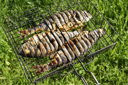     Seabass and Dorado fish grilled on Green Grass Background Surface                           の写真素材