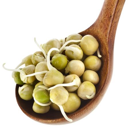 Peas sprouts over wooden spoon isolated on white backgroundの写真素材