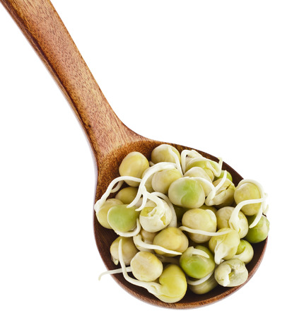 Peas sprouts over wooden spoon isolated on white backgroundの写真素材