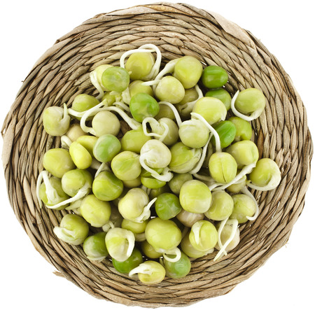 Pea seeds with sprouts close up macro shot top view isolated on a white backgroundの写真素材
