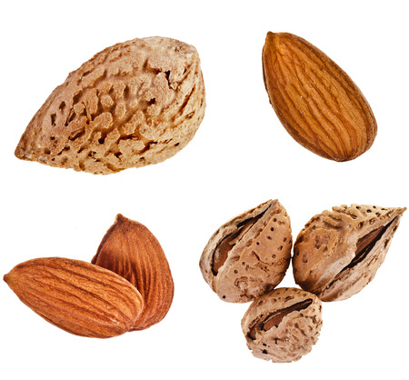 Almonds Seed collection set close up isolated on a white backgroundの写真素材
