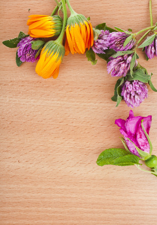 herbal flower groups on wooden rustic surface top view with copy space backgroundの写真素材