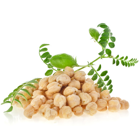 chickpeas plant with seed heap close up,isolated on white backgroundの写真素材