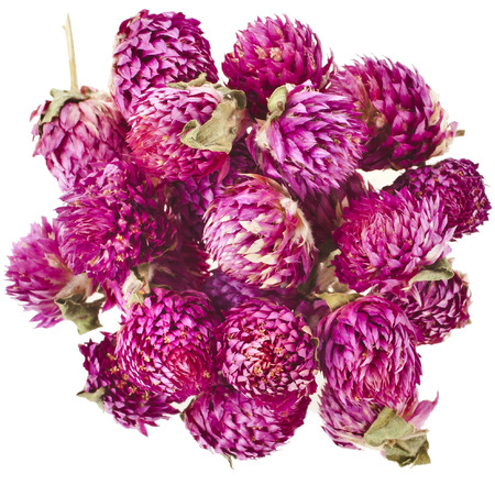 Heap pile of Clover Flower Bud Top View Surface isolated on white backgroundの写真素材