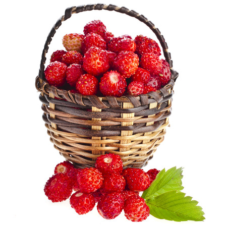 Wild Strawberries in wicker basket close up isolated over white backgroundの写真素材