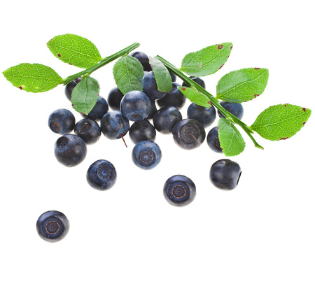 blueberries scatter isolated on white backgroundの写真素材