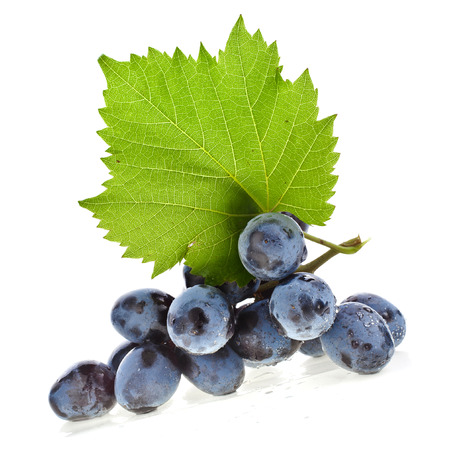 bunch of ripe dark grapes and green leaves closeup on white backgroundの写真素材